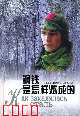 钢铁是怎样炼成的：不屈的战士
