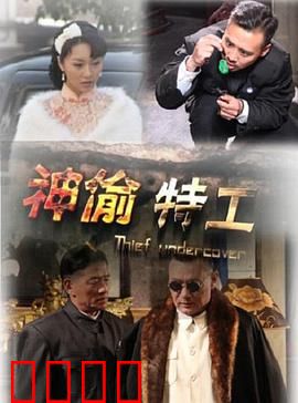 神偷特工：惊天密码战