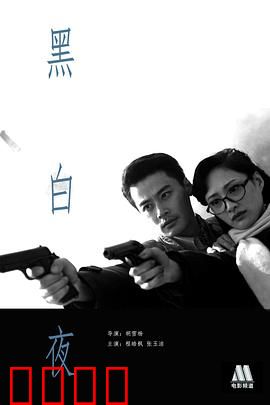 黑白夜：真相在黎明前