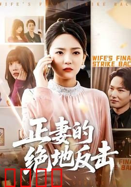 正妻的绝地反击：步步为营智斗小三